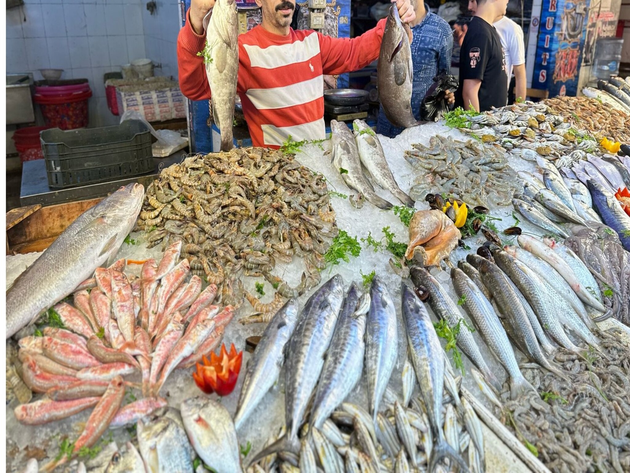 حملة مقاطعة الأسماك في مصر تؤدي إلى إنخفاض الأسعار بالأسواق
