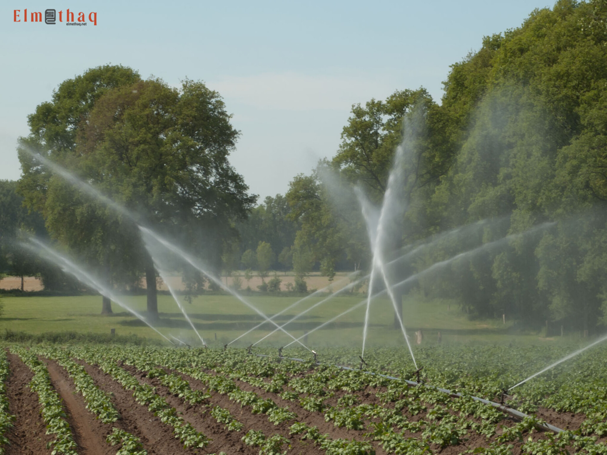 UAE unveils Watering 8 Farmlands After Irrigation System Revival