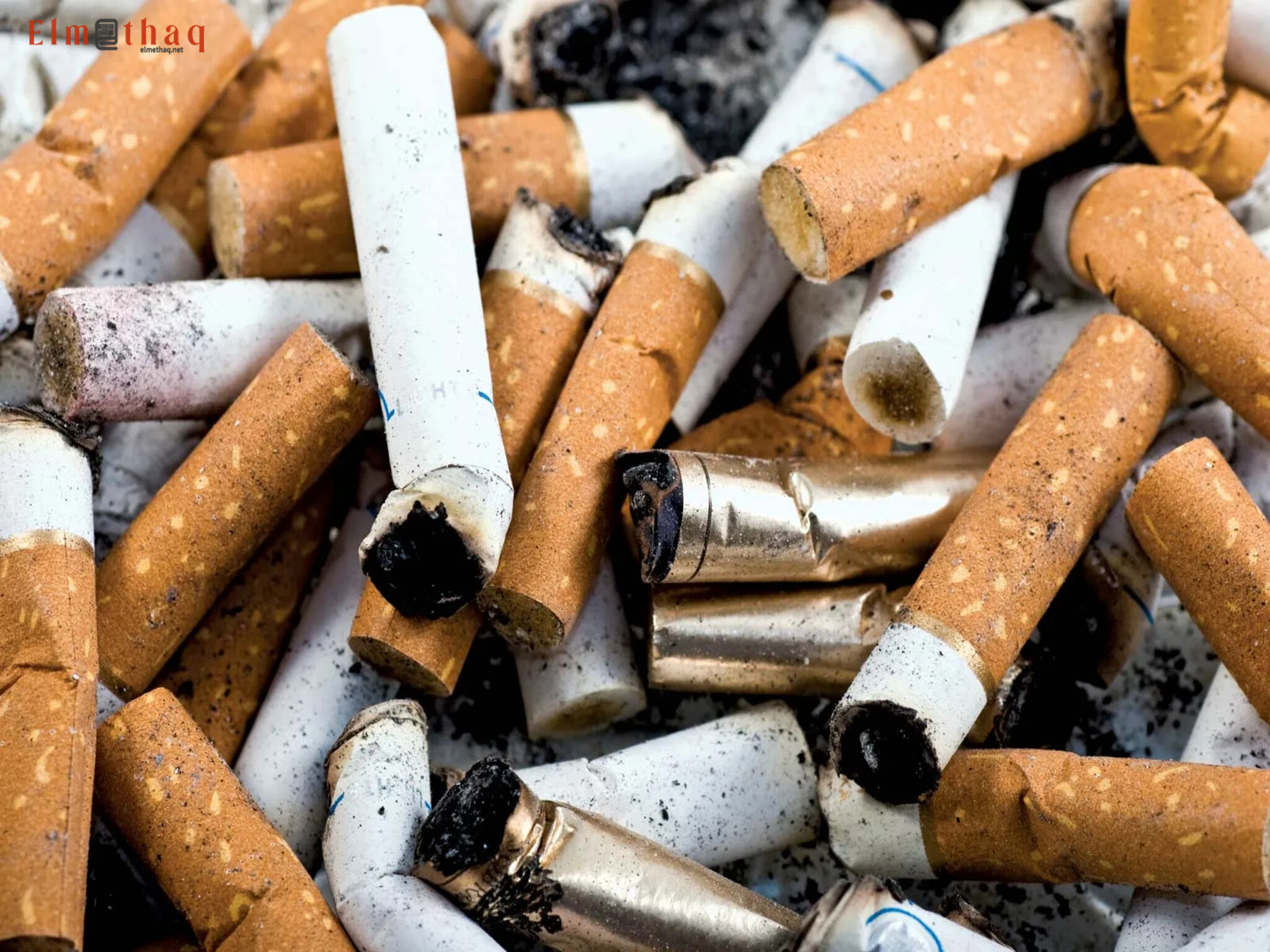 UAE and Saudi Arabia unveil joint effort to combat smoking