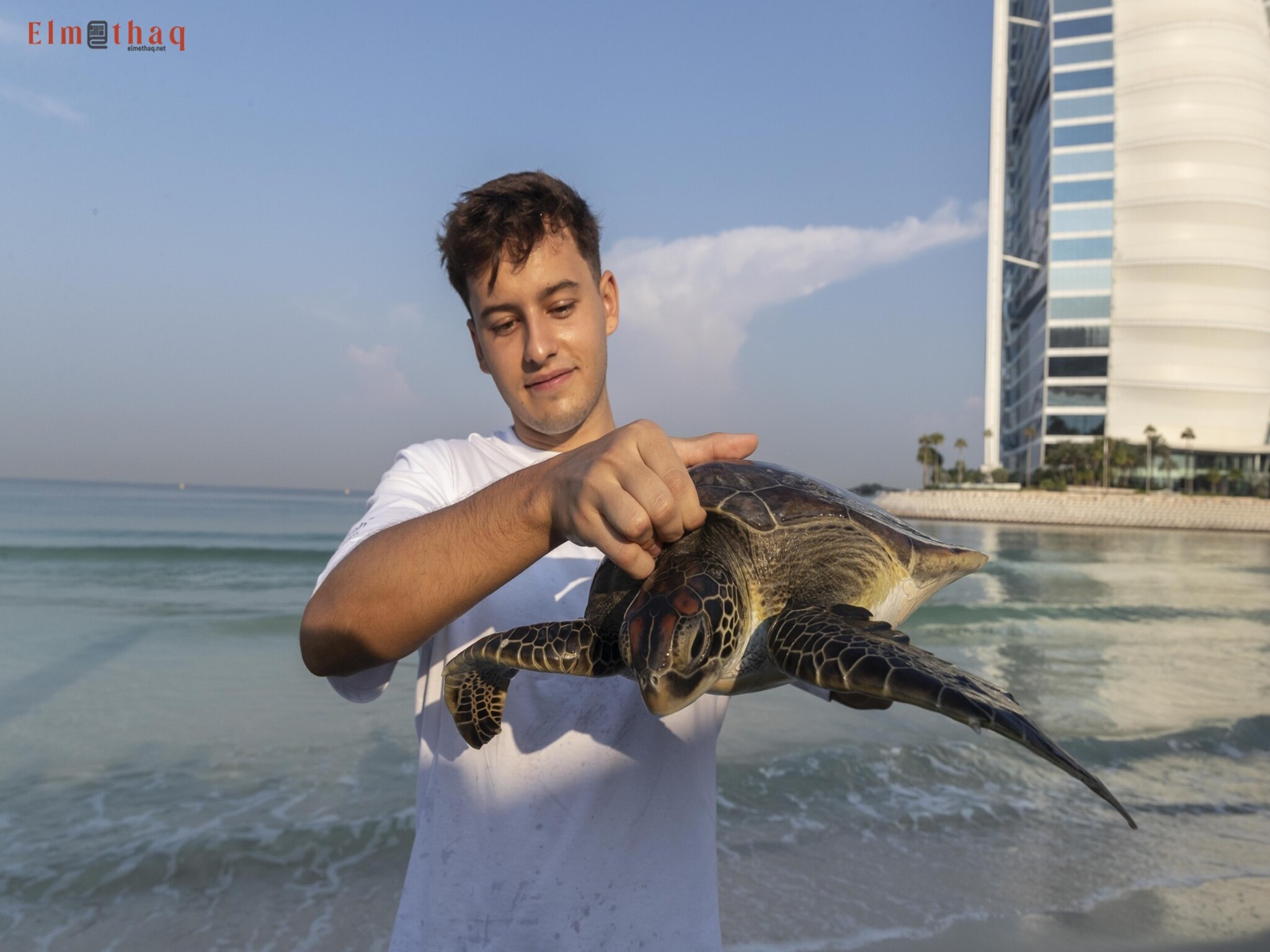 UAE launches Groundbreaking Project Tracking Sea Turtles from Dubai to Thailand