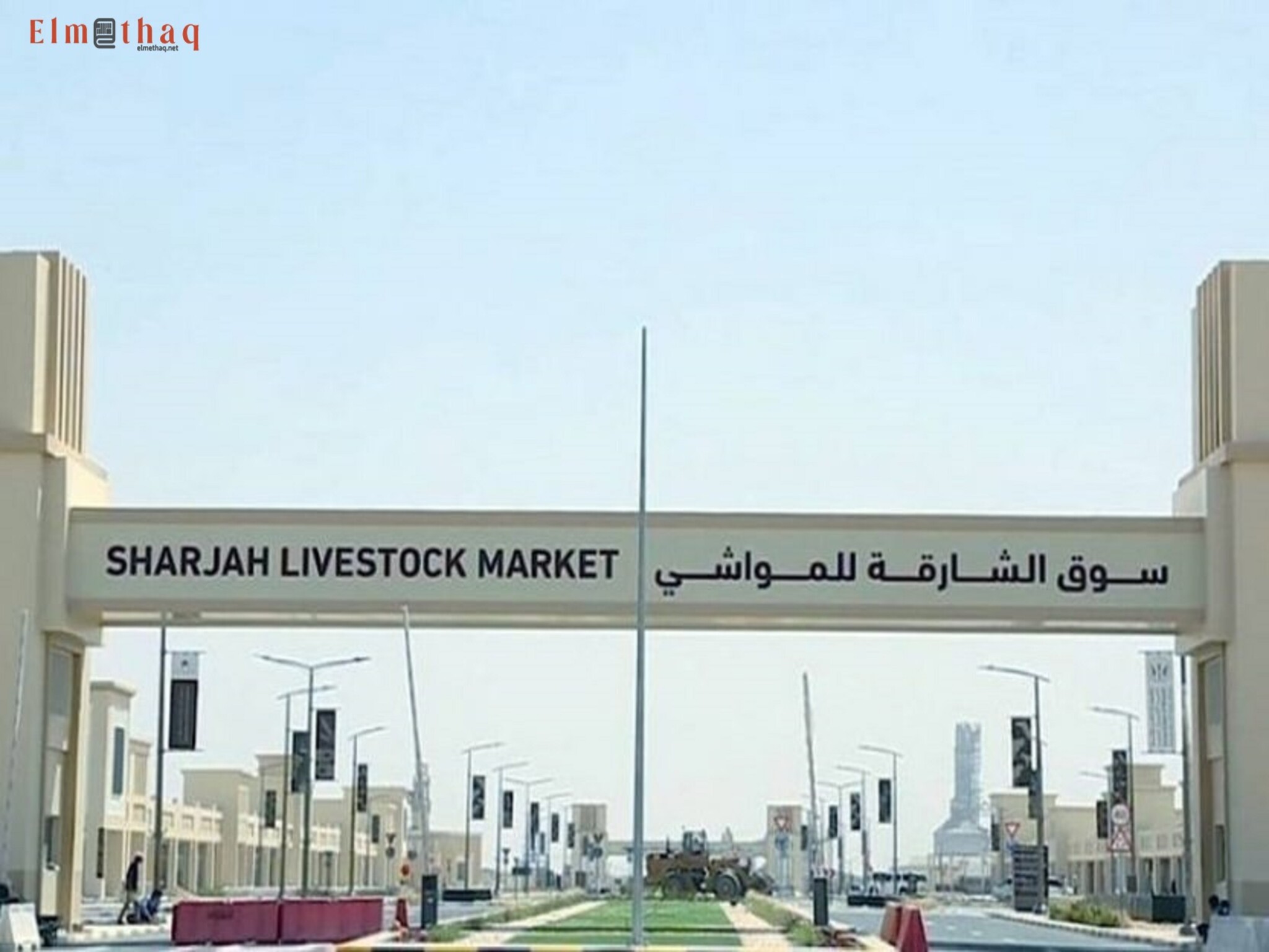 Sharjah Livestock Market launches delivery services in Eid Al Adha 2024