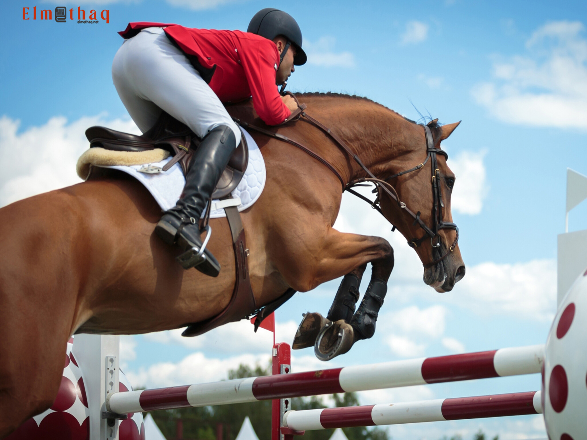 Dubai Police Offer Military Training and Horse Riding Lessons for Students 